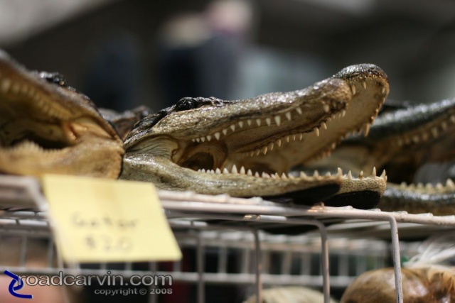 Gator Heads at the 2008 Easyriders Show in Sacramento (II)